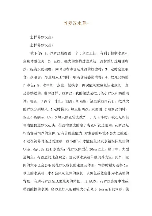 养罗汉水草--怎样养罗汉苗？