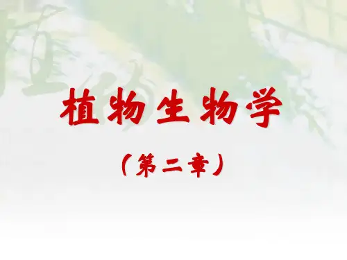 植物生物学(2.0植物的类群及其生活史特点)