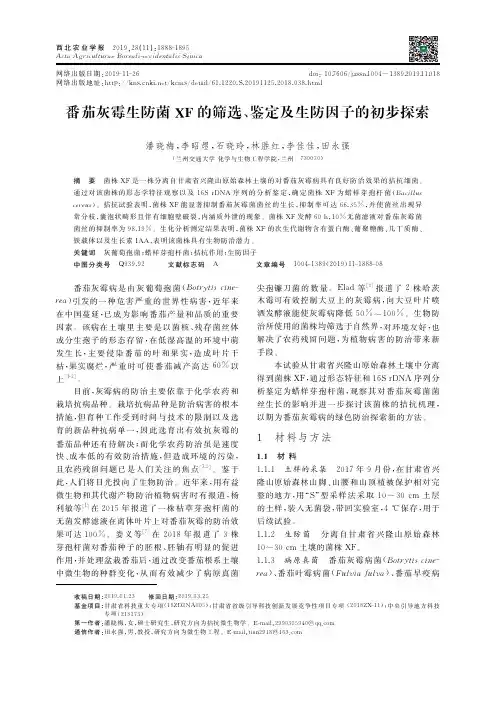 番茄灰霉生防菌xf的筛选、鉴定及生防因子的初步探索