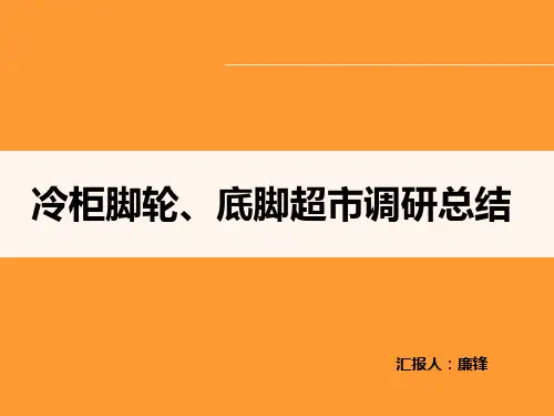 调查报告的PPT展示(PPT33页)