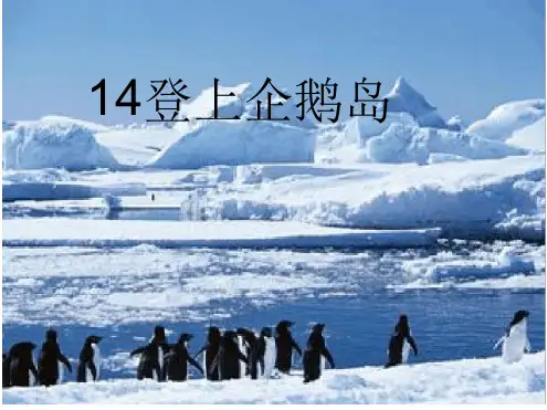 登上企鹅岛课件