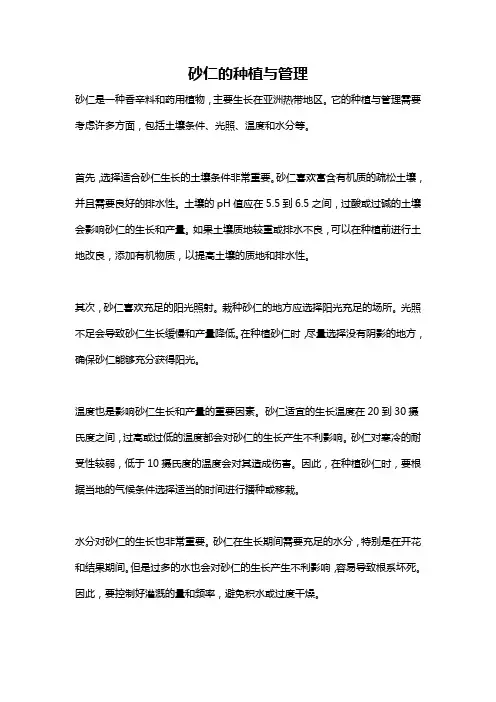 砂仁的种植与管理