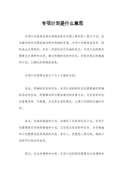 专项计划是什么意思