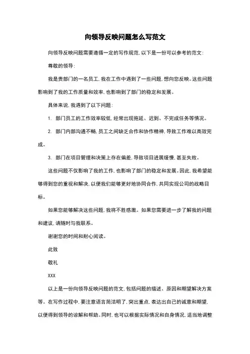 向领导反映问题怎么写范文
