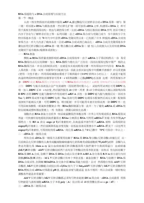 RNA的提取和cDNA合成原理和实验方法