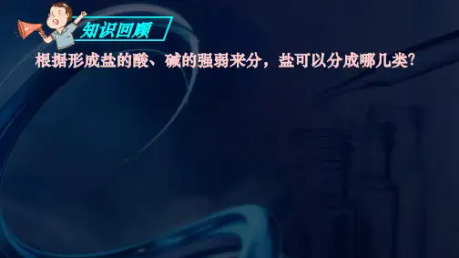 高二上学期化学选修四《盐类的水解》-PPT导学课件