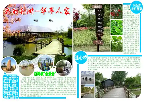 我的秋游-华亭人家价值观电子小报社会主义核心价值观和谐社会手抄报模板爱国教育政治宣传板报A4