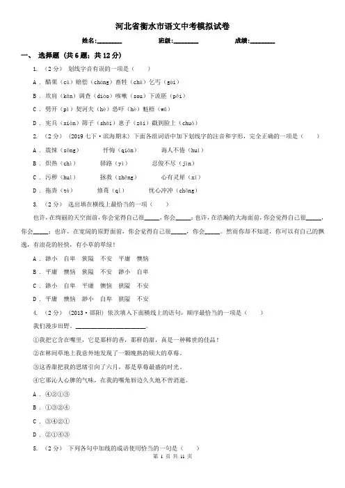 河北省衡水市语文中考模拟试卷