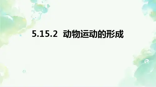 动物运动的形成ppt课件