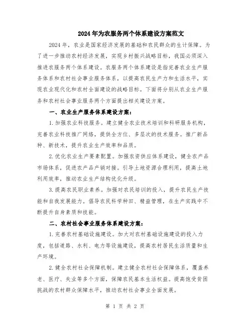 2024年为农服务两个体系建设方案范文