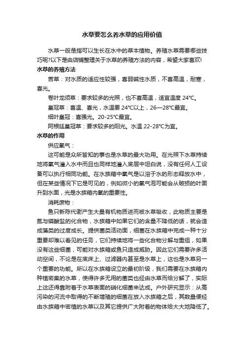 水草要怎么养水草的应用价值