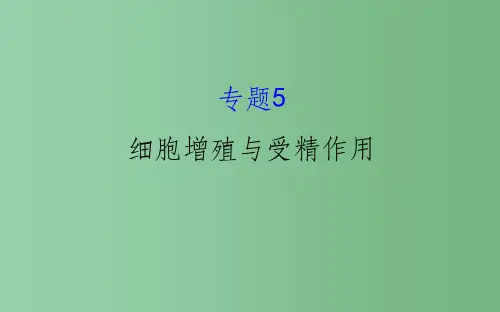 高考生物二轮复习 专题五 细胞增殖与受精作用课件