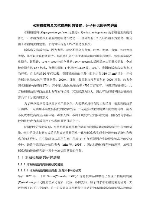 水稻稻瘟病及其抗病基因的鉴定、分子标记的研究进展