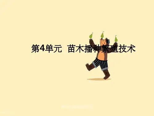 第4单元播种苗培育技术