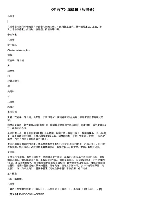 《中药学》海螵蛸（乌贼骨）