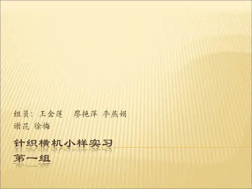 针织131第六组横机织小样