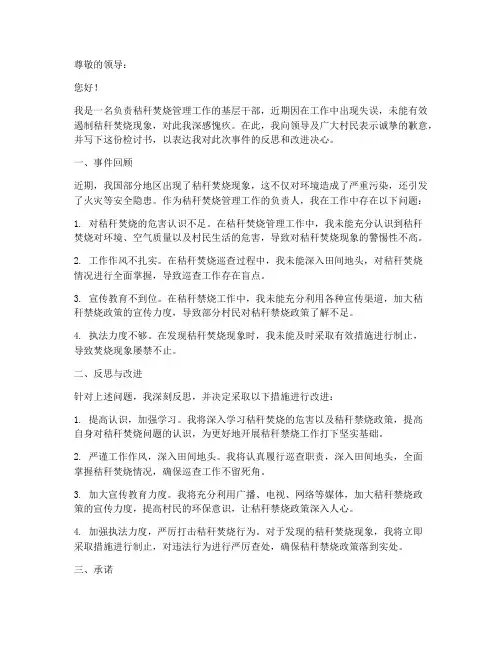 秸秆焚烧工作检讨书