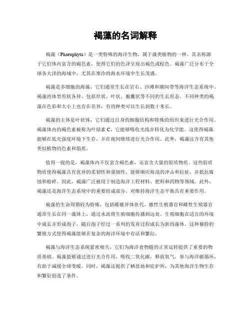 褐藻的名词解释