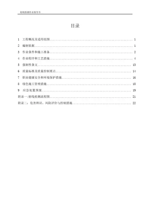 射线检验作业指导书正式