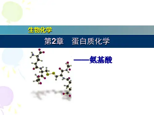 第4章蛋白质化学——2.氨基酸