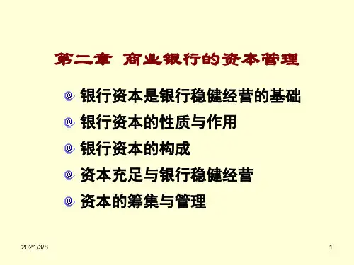 《商业银行的资本》PPT课件