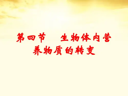 生物体内营养物质的转换