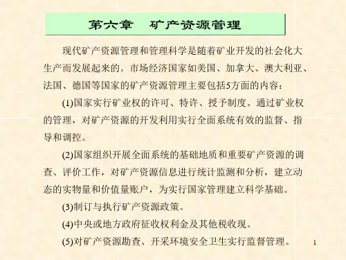 矿产资源评价 第六章 矿产资源管理