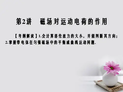 2018届高考物理一轮总复习专题9磁场第2讲磁吃运动电荷的作用课件