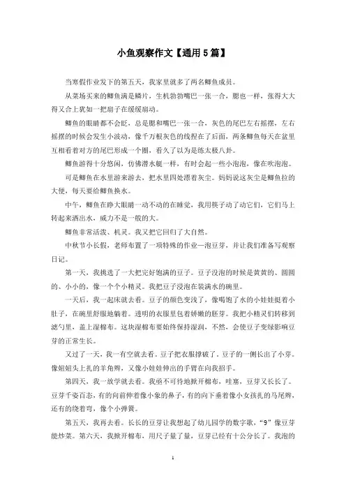 精选小鱼观察作文【通用5篇】