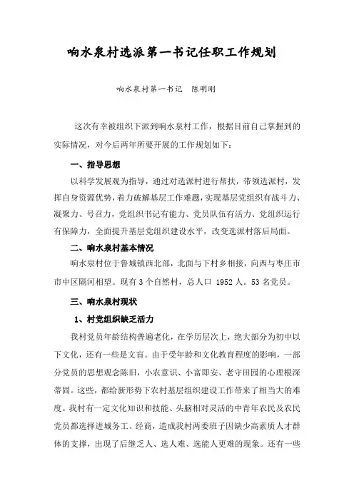 响水泉村第一书记任职规划(陈明刚)