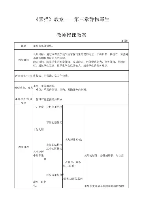 《素描》教案——第三章静物写生