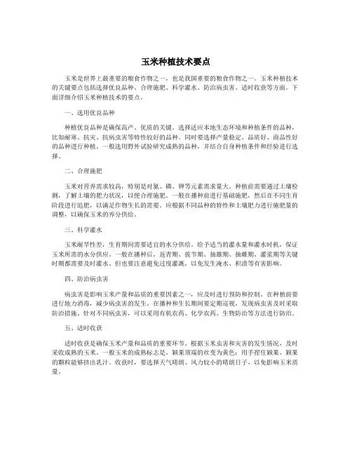 玉米种植技术要点