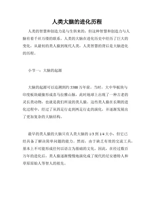 人类大脑的进化历程