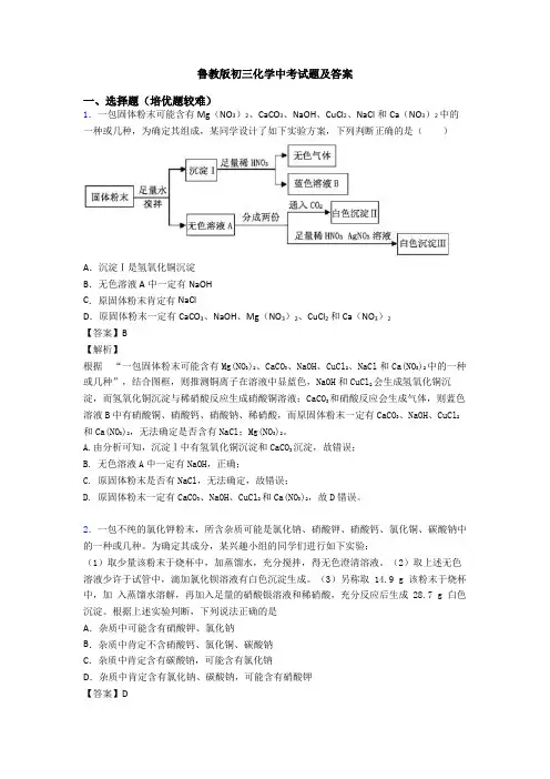 鲁教版初三化学中考试题及答案