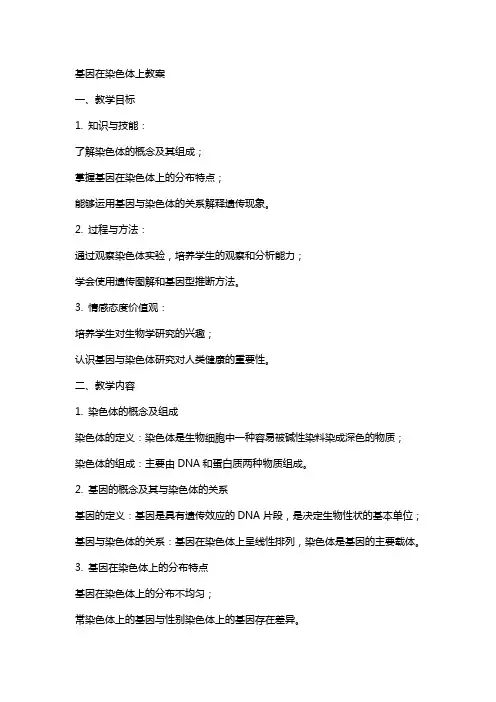 基因在染色体上教案