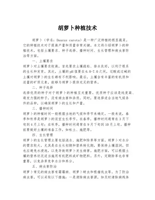 胡萝卜种植技术