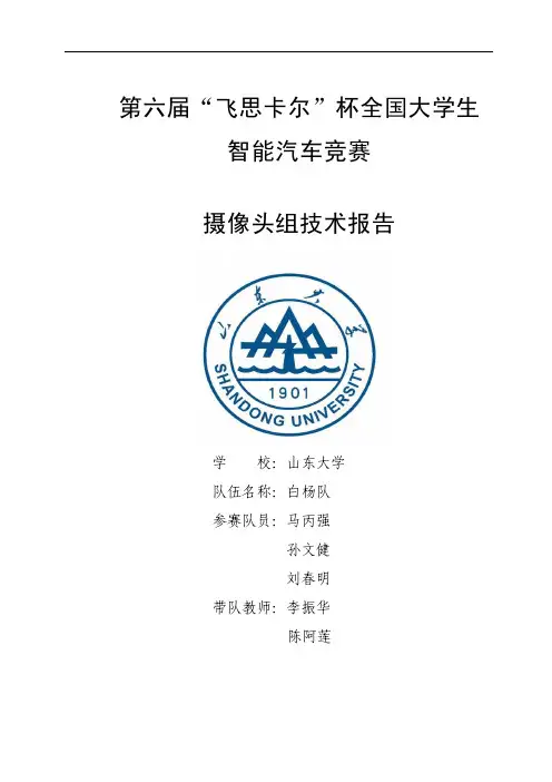 第六届山东大学-白杨队技术报告  决赛第三