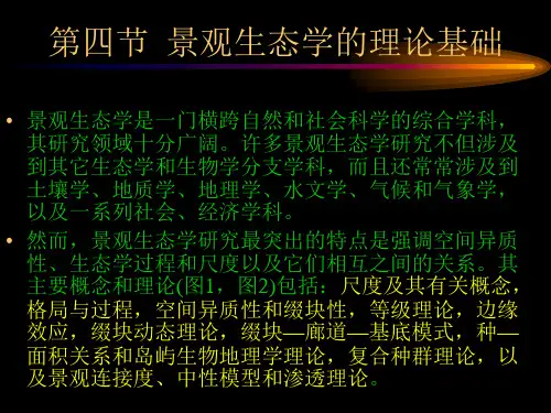 景观生态学的理论基础