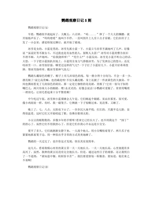 鹦鹉观察日记5则