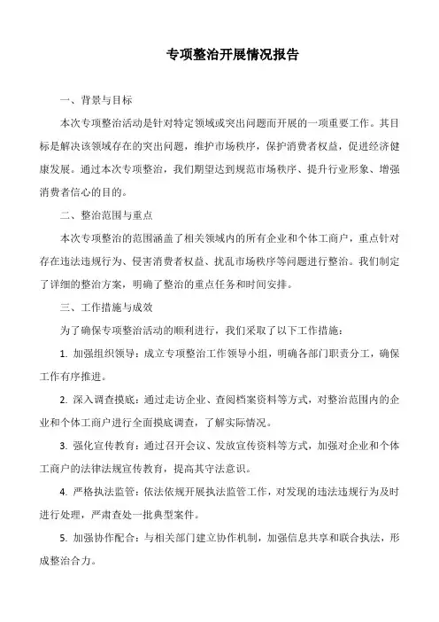 专项整治开展情况报告