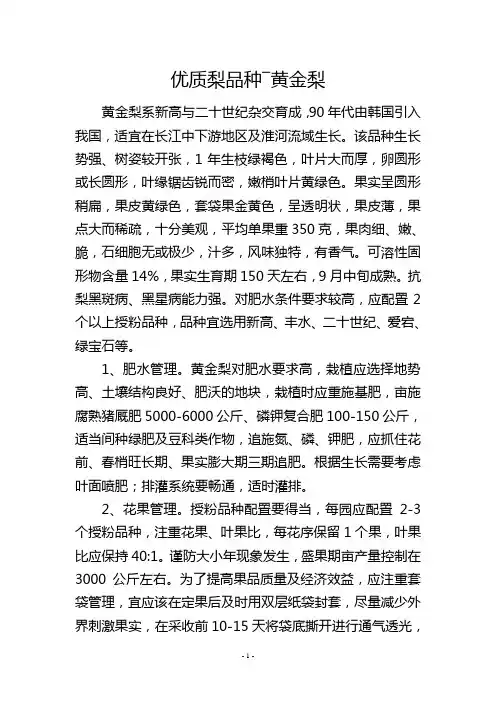 优质梨品种―黄金梨