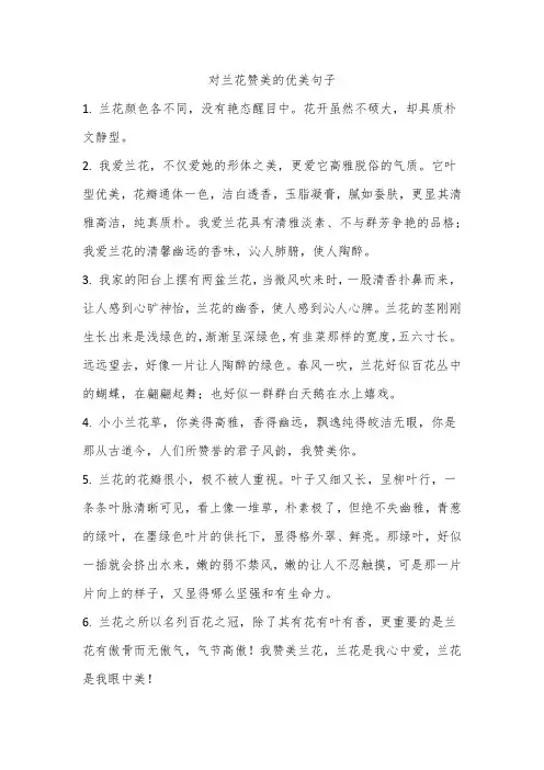 对兰花赞美的优美句子