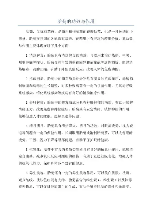 胎菊的功效与作用