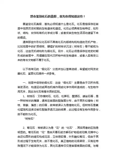 想会鉴别化石的真假，首先你得知道这些！