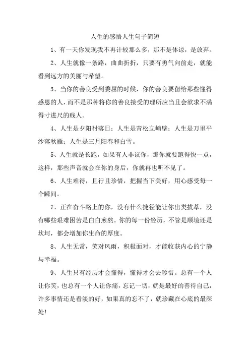 人生的感悟人生句子简短