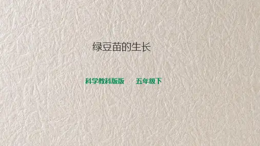 教科版科学五年级下册 1-3 绿豆苗的生长 教学课件