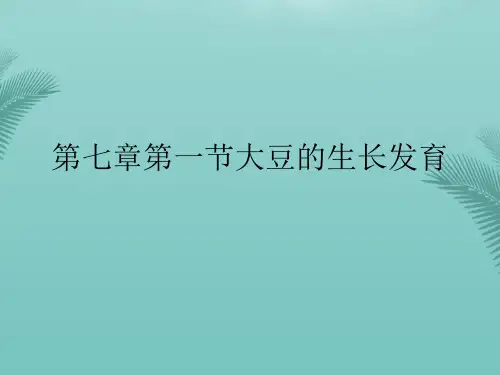 第七章第一节大豆的生长发育(精选优秀)PPT