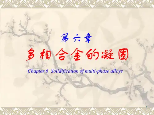 华科 材料成型原理  第六章 多相合金的凝固