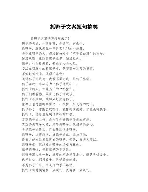 抓鸭子文案短句搞笑