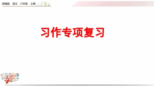 部编版六年级语文上册《期末复习—习作专项》课件